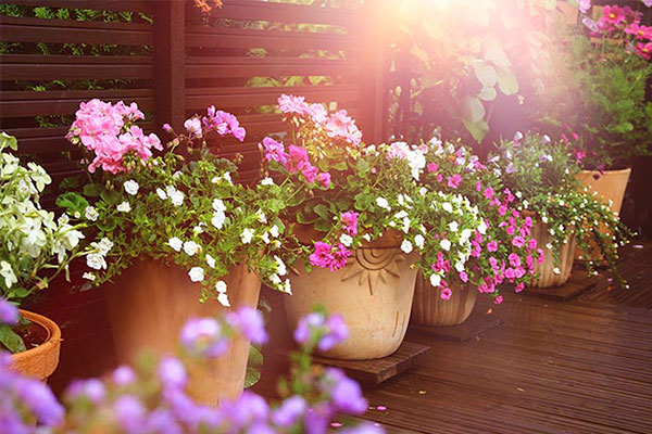cómo decorar balcones con flores
