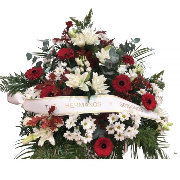 centro funerario 2