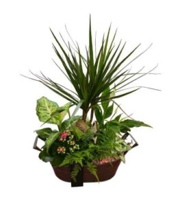 Cesta Decorativa con Plantas Verdes y Flores Naturales