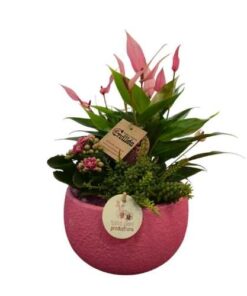 Composición Floral en Maceta Rosa Texturizada